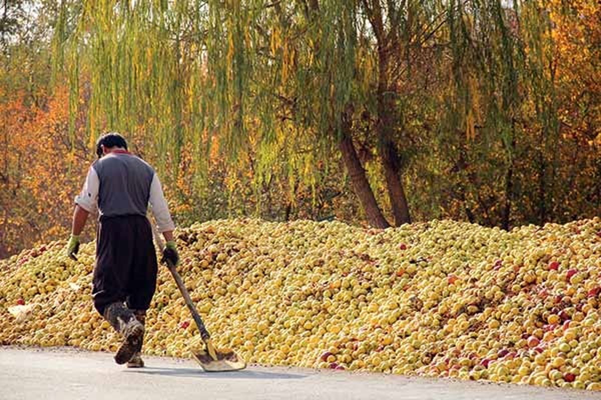 درخواست کشاورزان از جهانگیری برای صدور مجوز صادرات سیب و پرتقال