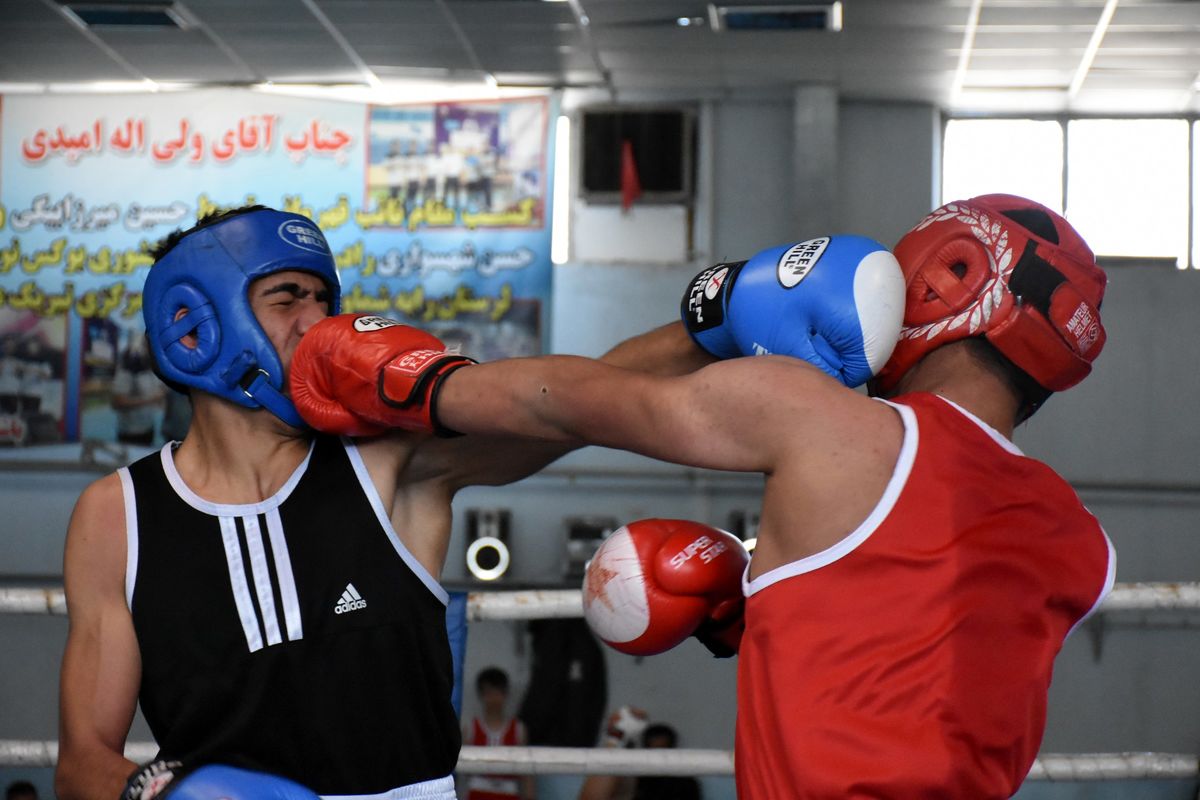 برگزاری مسابقات بوکس انتخابی جوانان تیم ملی در قم