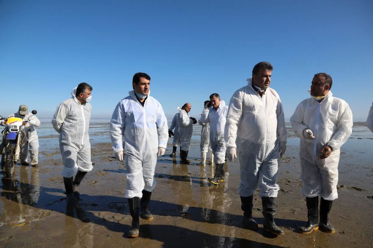 استاندار مازندران از تالاب میانکاله و محل تلفات پرندگان مهاجر بازدید  کرد