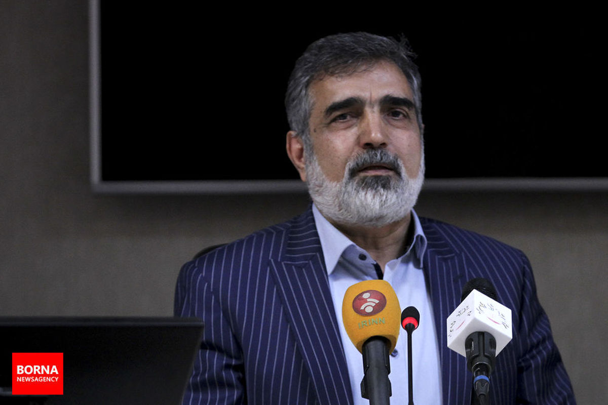 آژانس نمی‌تواند بر اساس ادعاهای جاسوسی رژیم صهیونیستی از ایران درخواستی داشته باشد
