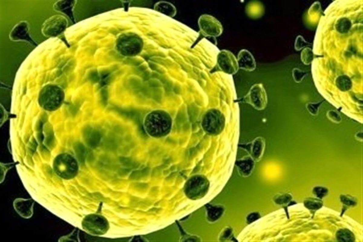 شناسایی ۱۹ مورد جدید ابتلا به کروناویروس در استان فارس/افزایش مبتلایان به ۱۷۰ نفر