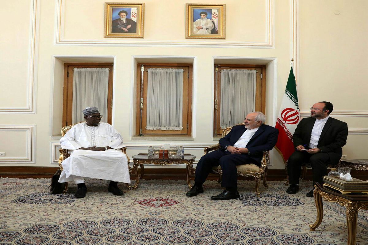 نایب رئیس مجلس نیجر با ظریف دیدار کرد