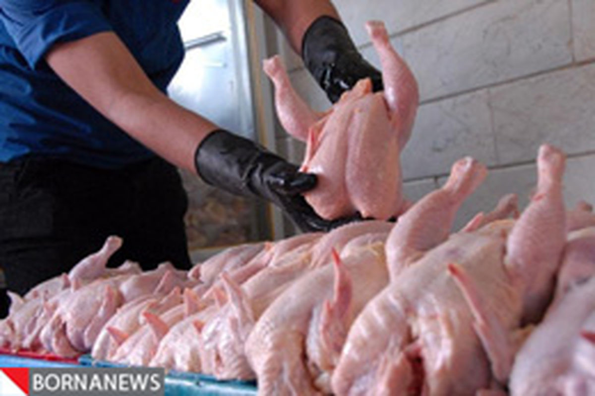 کاهش ۵۰ درصدی قیمت مرغ در ماه رمضان