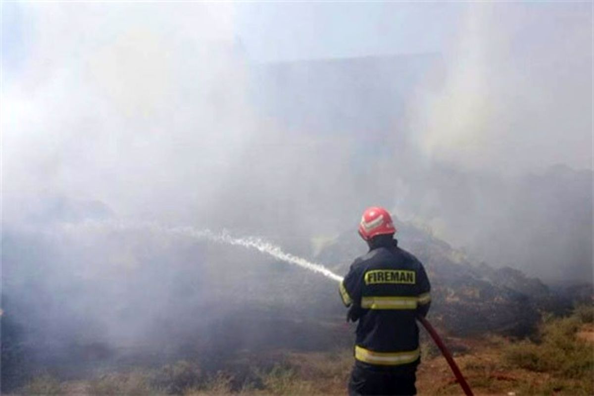 آتش سوزی پارک های جنگلی سنندج ۹۵ درصد کاهش داشته است