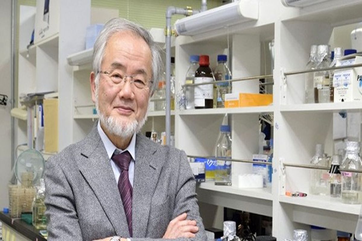کشف جالب برنده نوبل فیزیولوژی در خصوص تاثیر روزه داری بر مکانیسم بدن