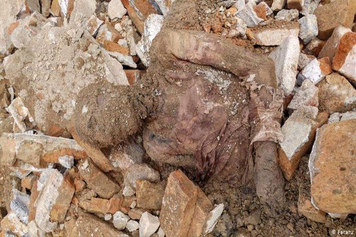 جسد مومیایی کشف شده در شهرری کجا دفن شد ؟