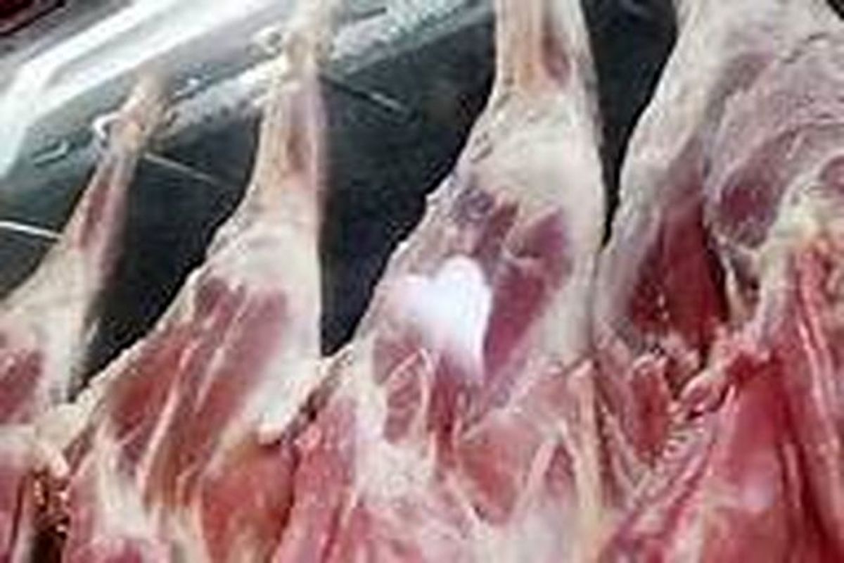۸۰۰ کیلوگرم گوشت منجمد قاچاق در دره شهر کشف شد