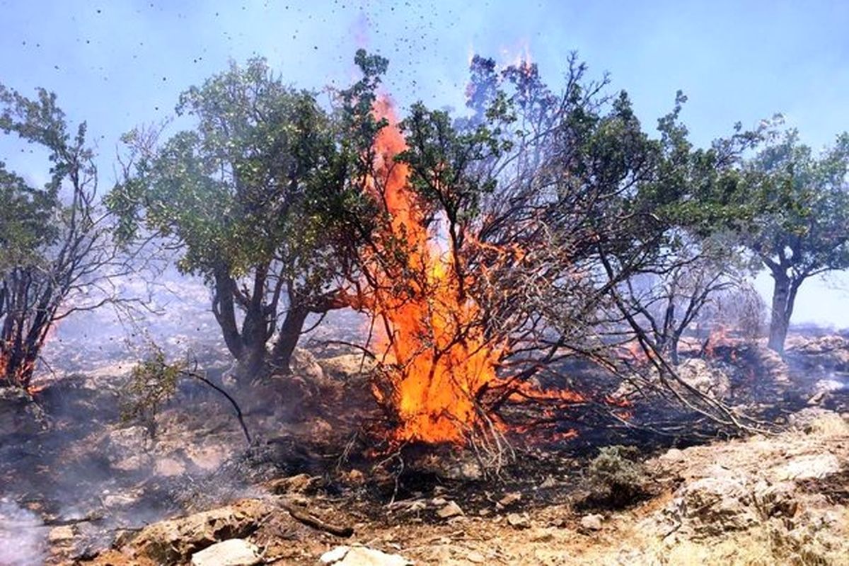 گردشگران، پادگان ها و اختلافات قومی دلایل آتش‎سوزی در محیط زیست