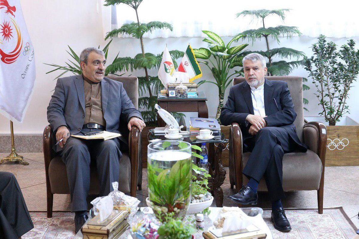 صالحی‌امیری با سفیر ایران در ژاپن دیدار کرد