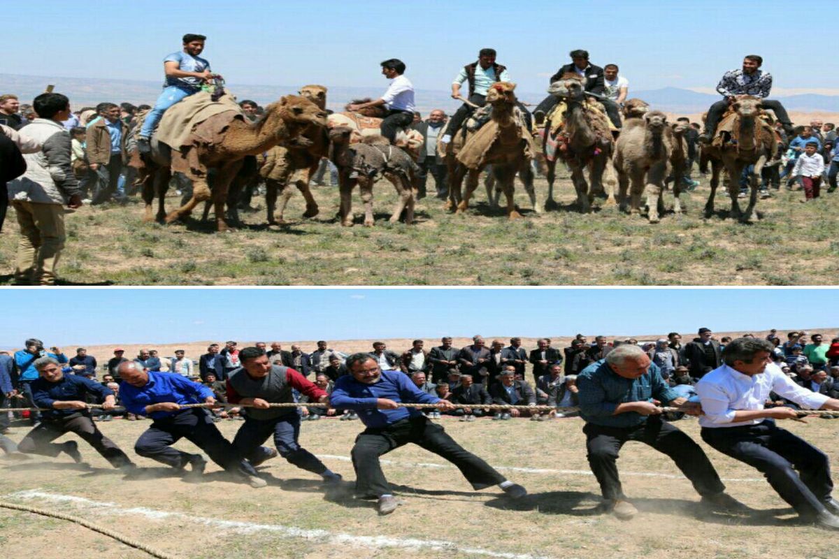 جشنواره بازیهای محلی و عشایری در استان زنجان برگزار شد