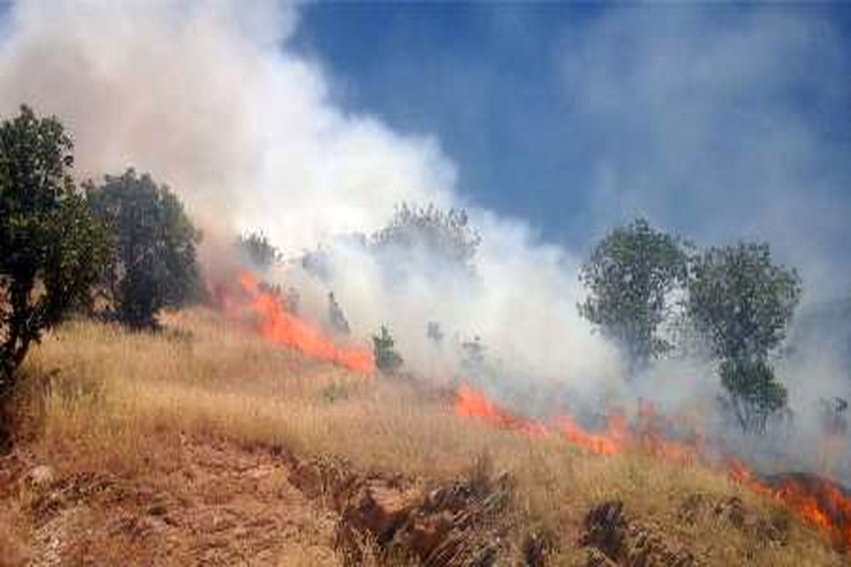 انسان؛ عامل آتش سوزی های استان کرمانشاه!