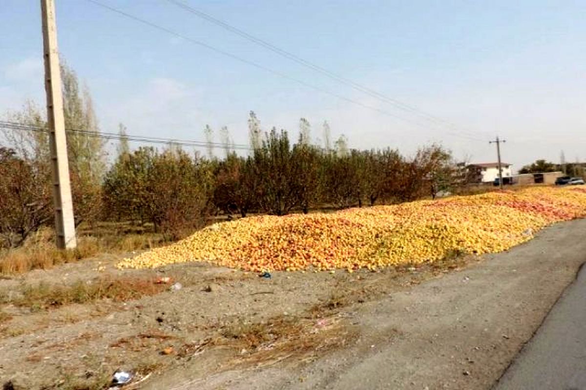 اطلاعیه ممنوعیت انباشت سیب صنعتی در کنار جاده های آذربایجان غربی