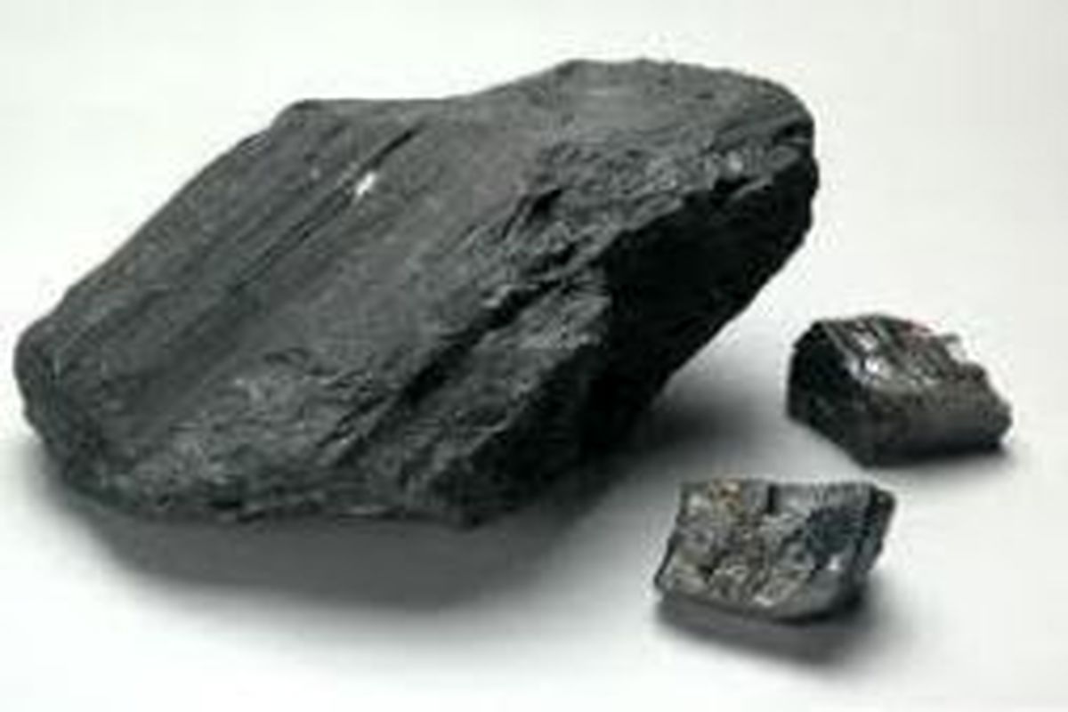 دود زغال به چشم زغال فروش رفت