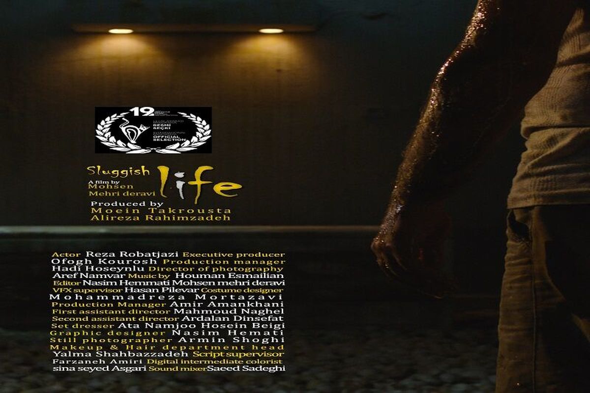 «زندگی لزج» جایزه بهترین فیلم را از ایتالیا گرفت