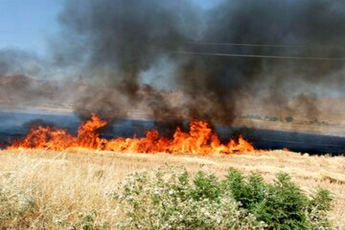مهار آتش‎سوزی ۵۰هکتار از اراضی کشاورزی سرپل ذهاب