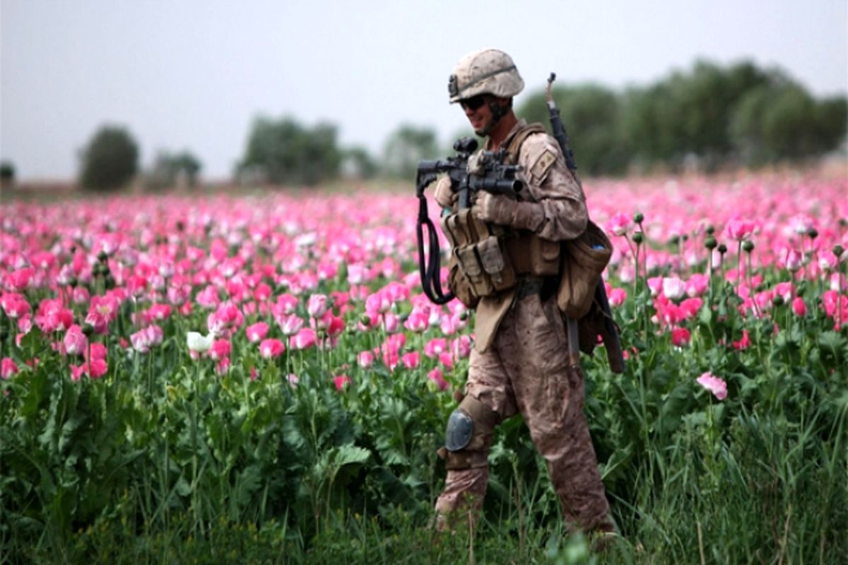 اقدامات آمریکا برای تبدیل افغانستان به قطب تولید مواد مخدر