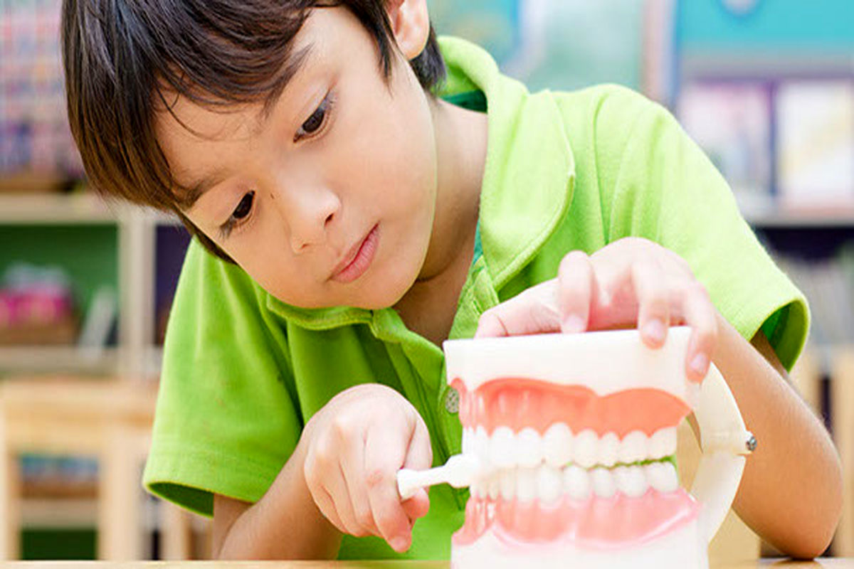 سالانه ۵۱ میلیون ساعت مدارس به دلیل بیماری های دهان و دندان از دست می رود/ تاثیر عفونت ناشی از پوسیدگی دندان در یادگیری دانش آموزان