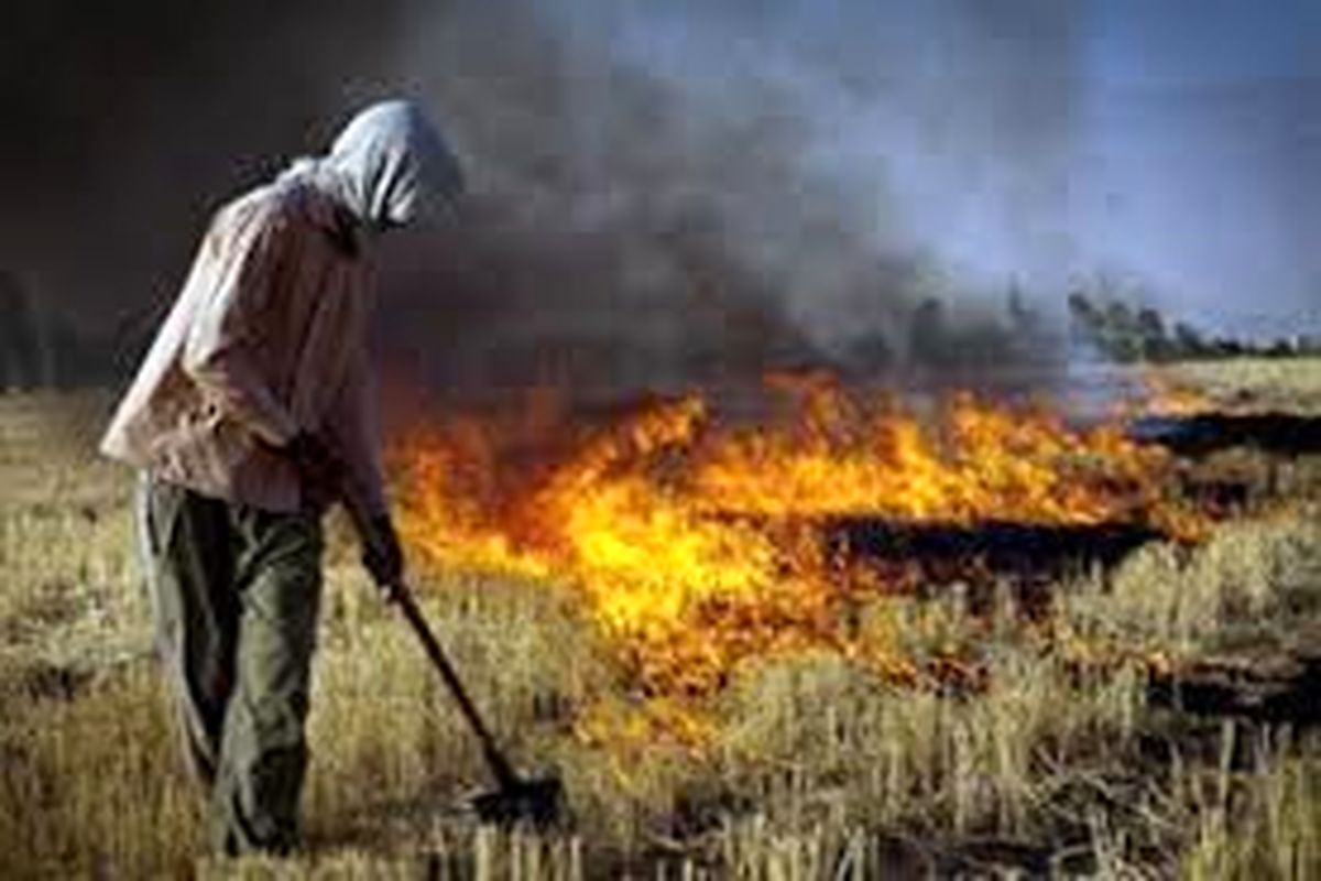 آتش زدن بقایای گیاهی تخلف است / متخلفان تحت پیگرد قانونی قرارمی گیرند