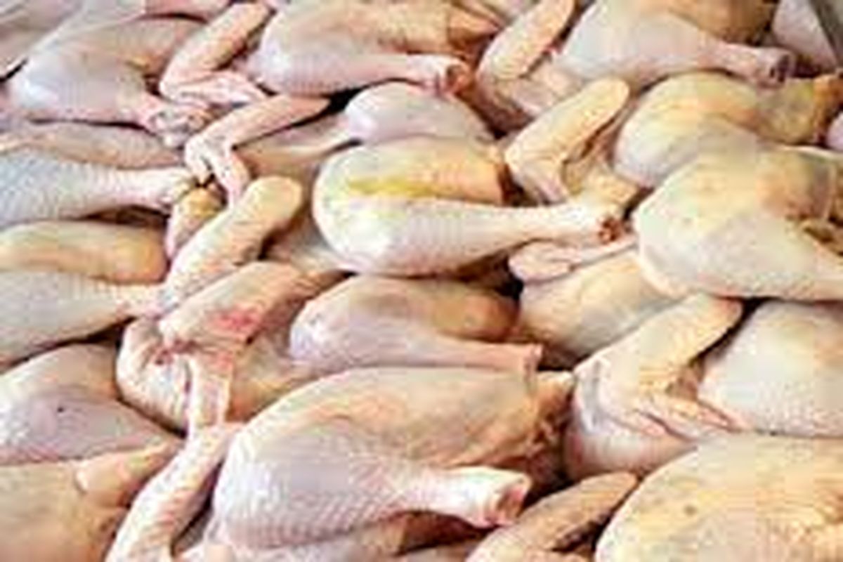 خرید گوشت مرغ از مرغداران آذربایجان غربی با هدف ایجاد تعادل در بازار