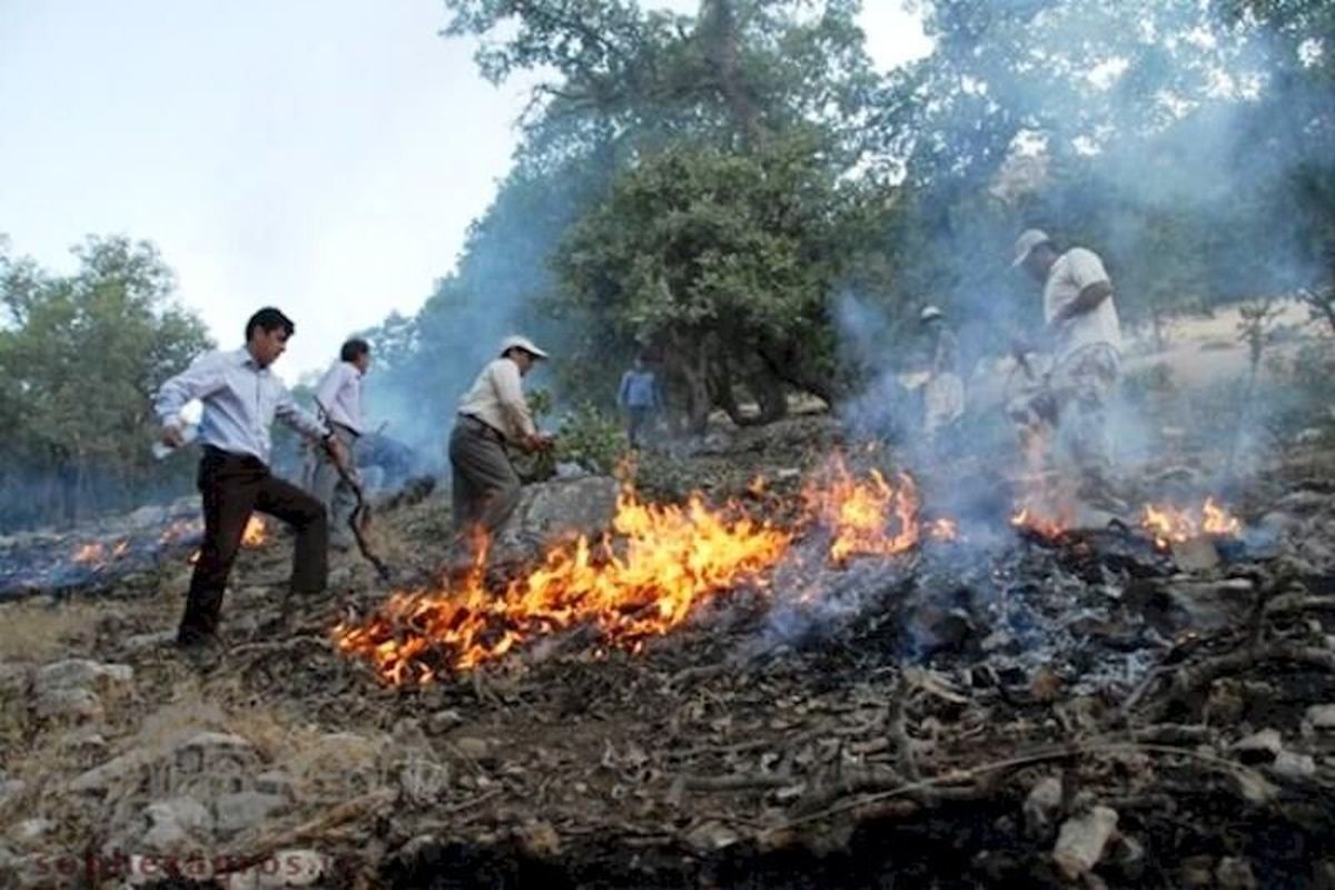 مهار آتش سوزی در منطقه مشایخ کیار