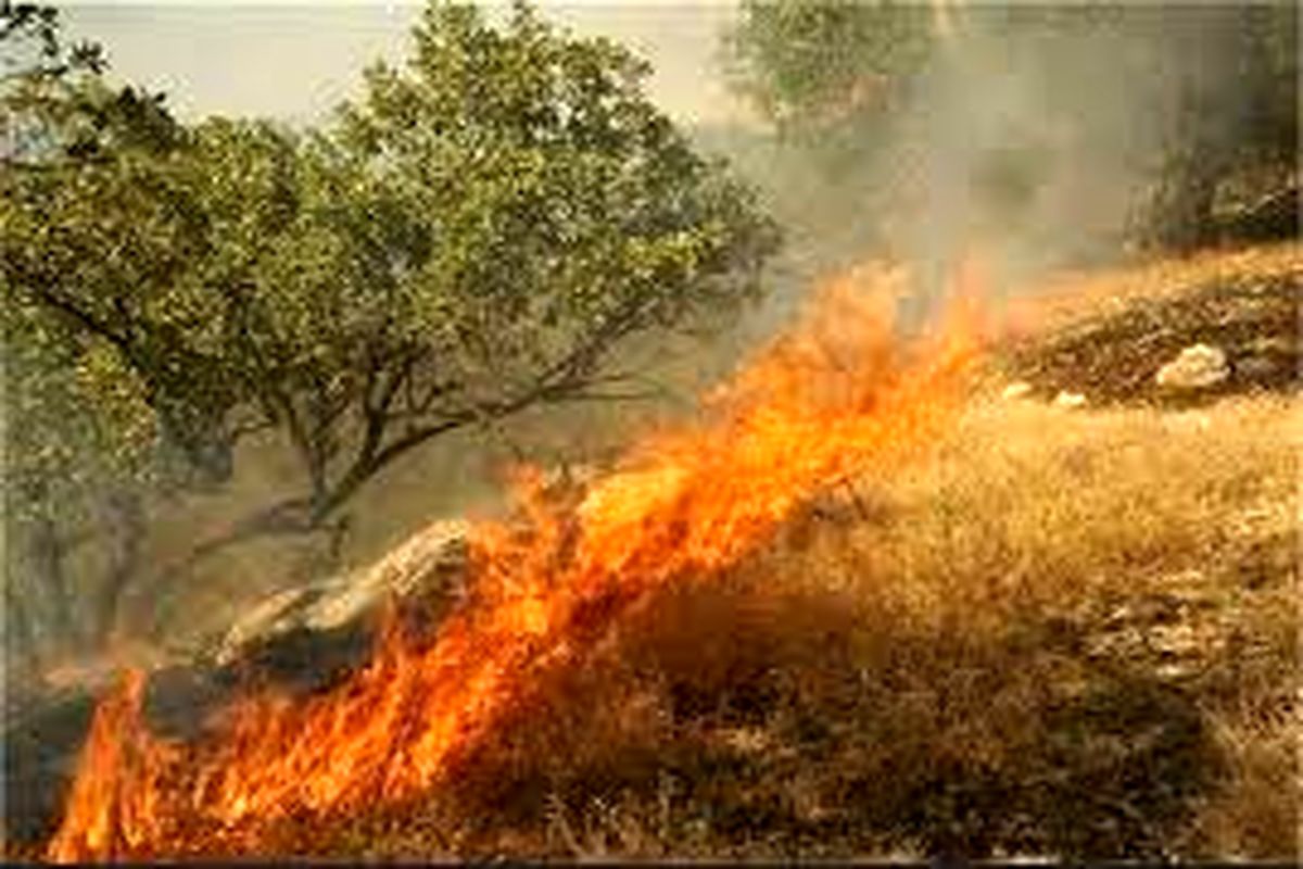 مهار کامل آتش‌سوزی جنگل‌های ارتفاعات توسکستان