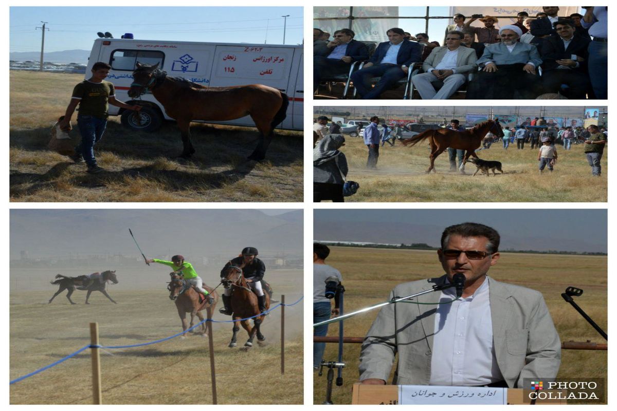 فرصتی بزرگ و تاریخی برای توسعه صنعت اسب و گردشگری ورزشی