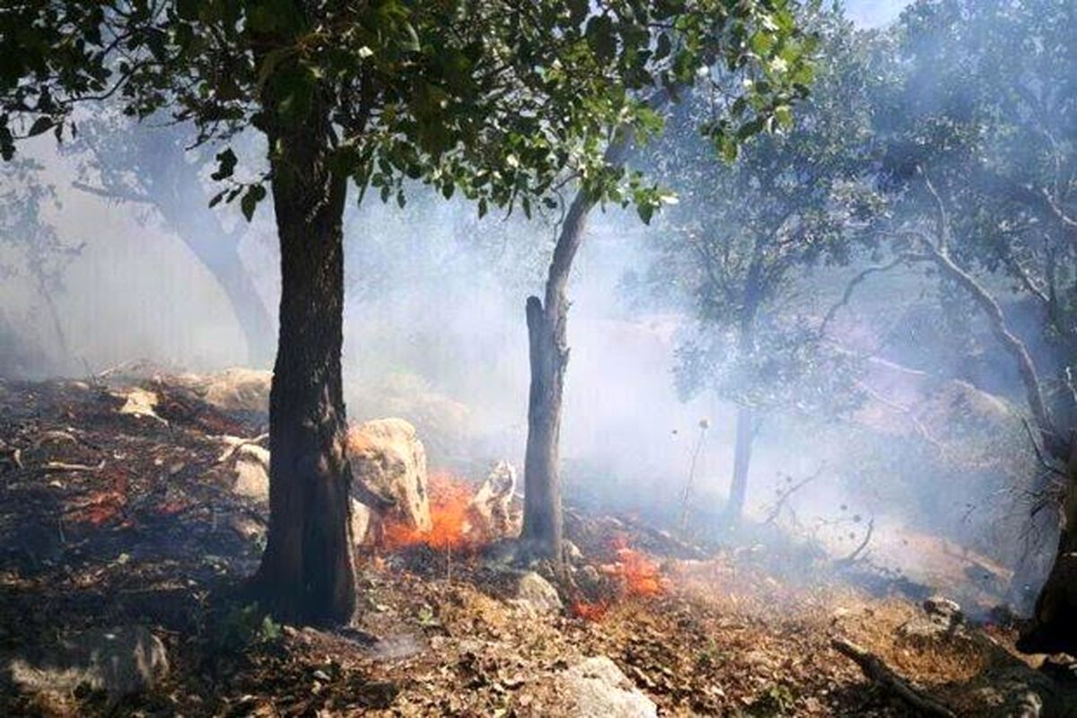 ادامه دار بودن آتش سوزی جنگل‌های منطقه دیل گچساران