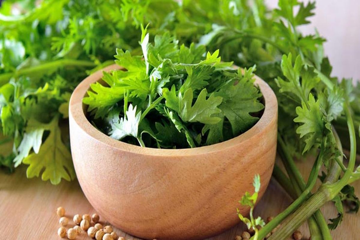 با مصرف این سبزی تشنج را درمان کنید