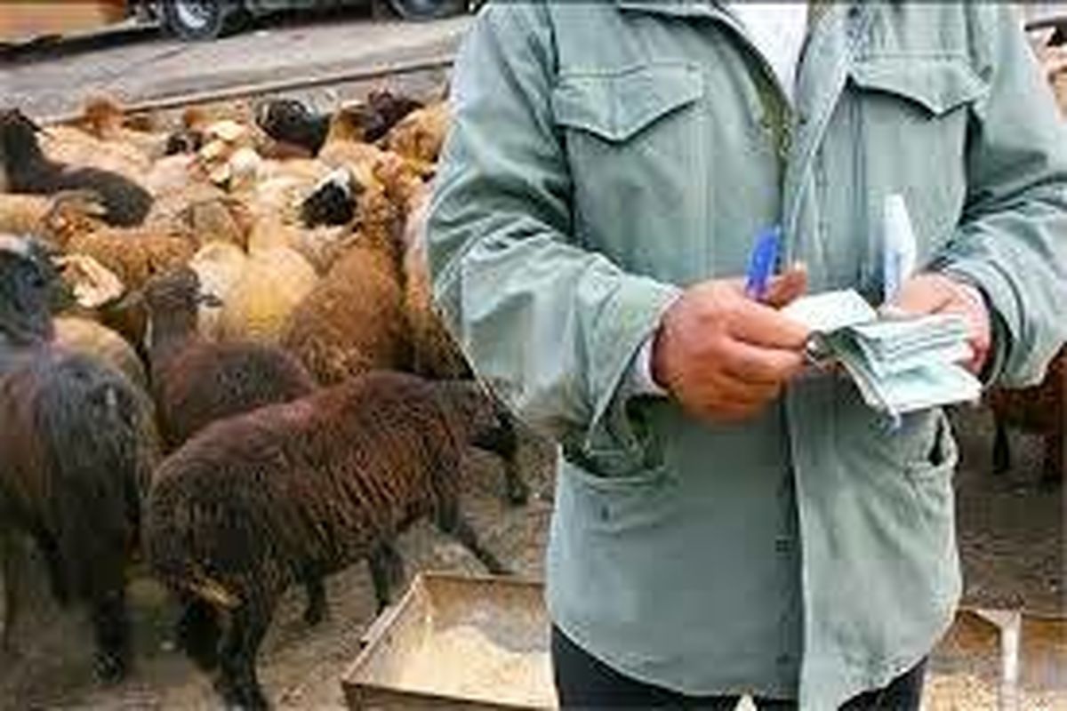 توقیف ۴۰ رأس گوسفند قاچاق در  سرایان