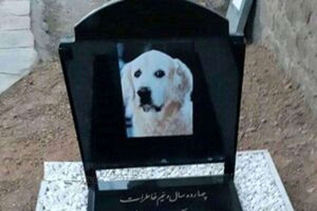 شناسایی و دستگیری عاملان دفن سگ در مسجد