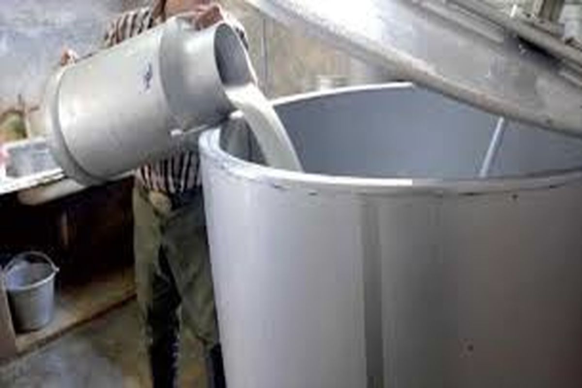 ۲۲ هزار لیتر شیر فاقد مجوز در الیگودرز