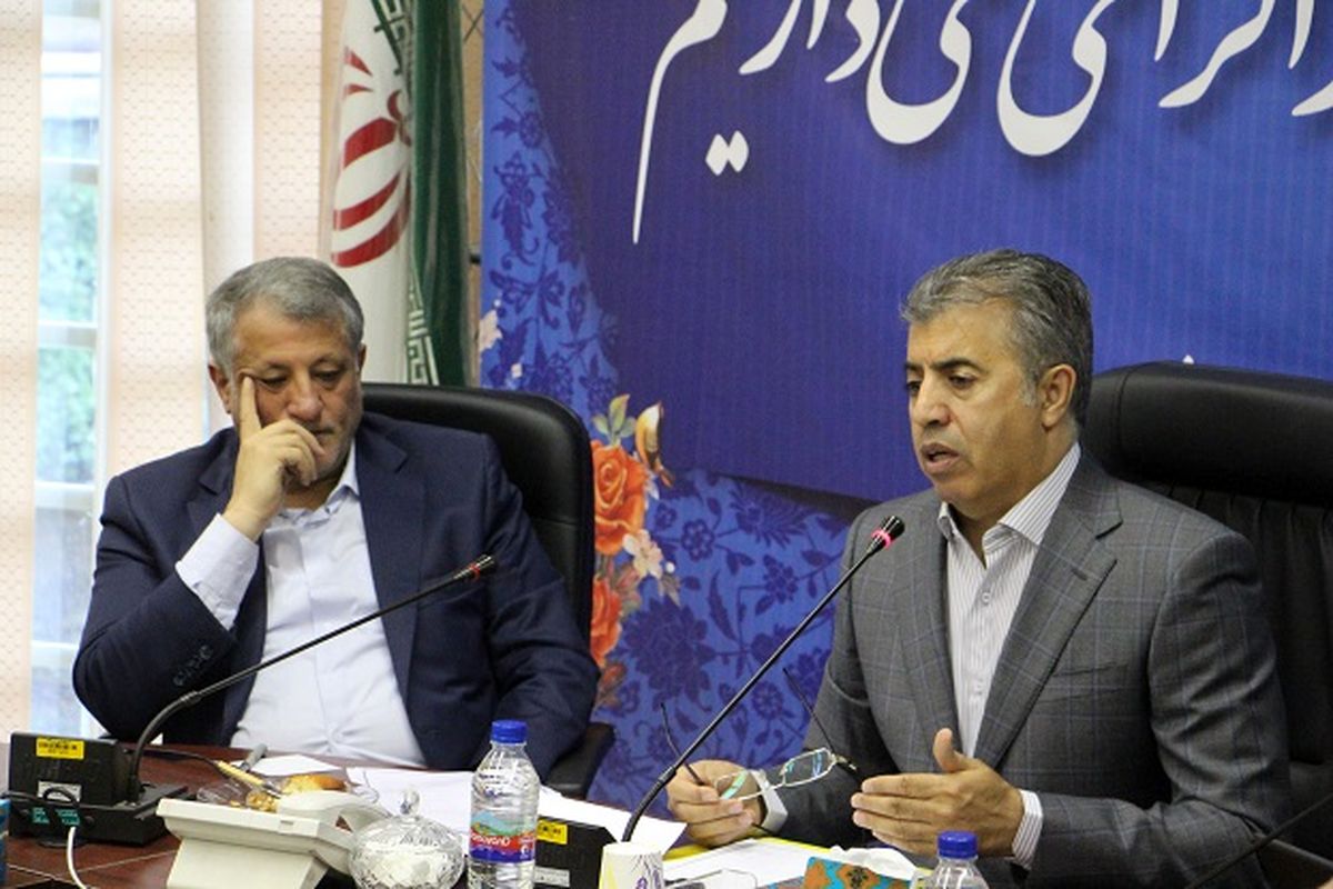 گودبرداری‌های غیرقانونی نگرانی‌های زیادی را ایجاد می‌کند/برای حل و فصل مشکلات نیازمند کمک شورای شهر تهران هستیم
