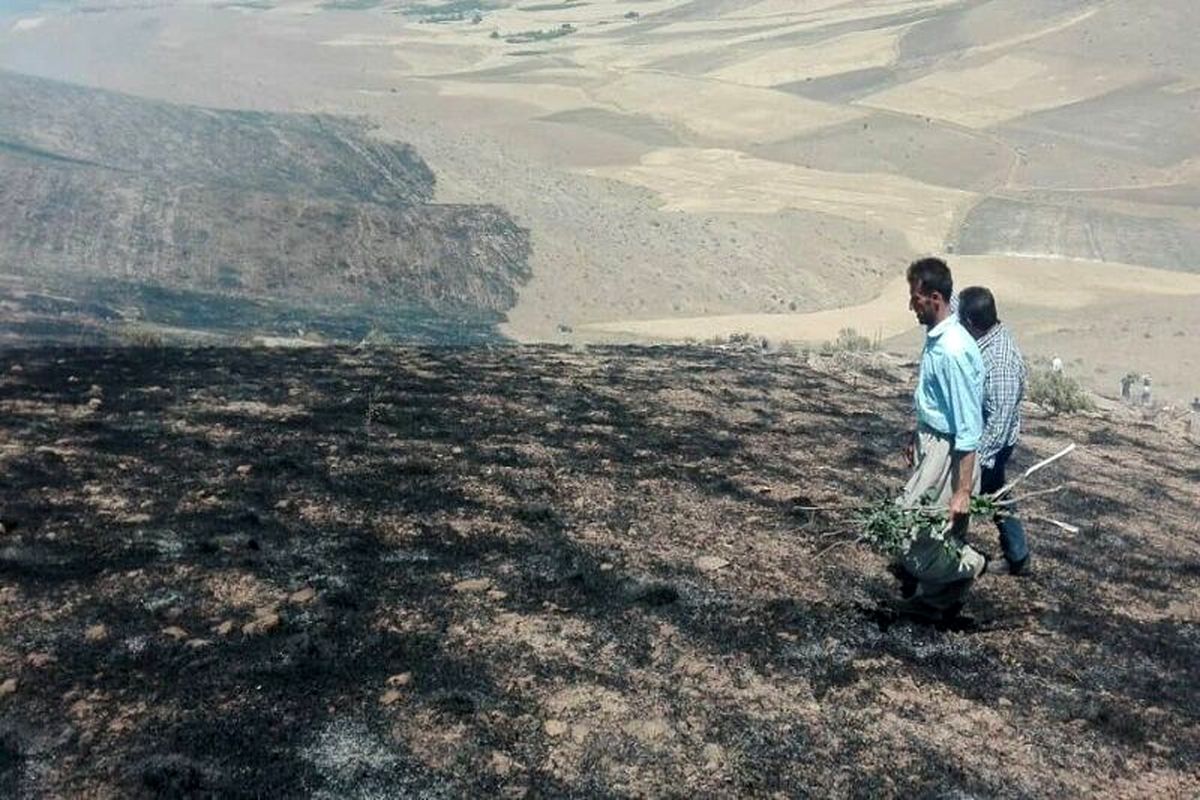بیش از ۱۰۰ هکتار از مراتع بوکان در آتش سوخت