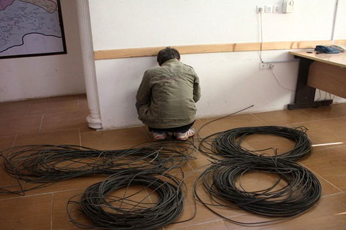 سارق کابل های برق در سنندج دستگیر شد