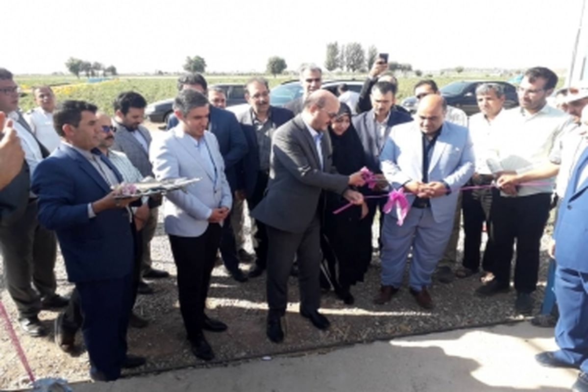یک واحد پرورش گاو شیری در شهرستان قزوین افتتاح شد