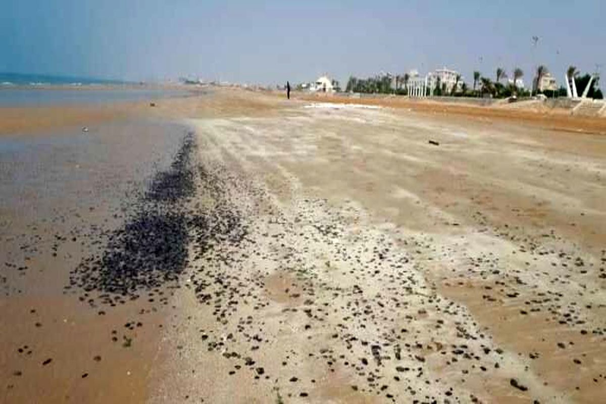 سواحل گناوه از لکه های نفتی پاک‌سازی شد