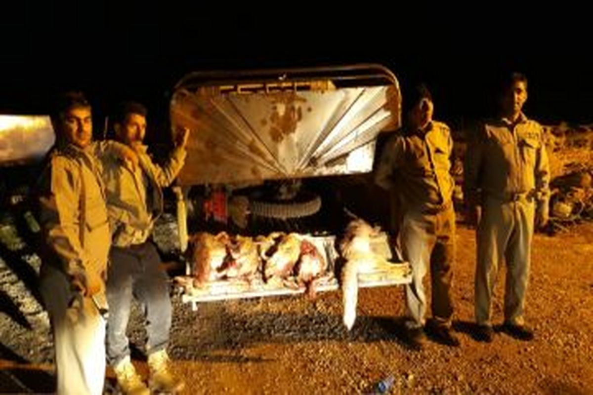 دستگیری ۲ گروه شکارچی متخلف در سلسله