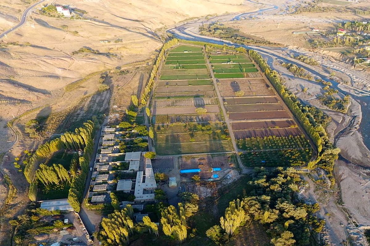 روستایی که هیچ زنی را راه نمی‌دهند