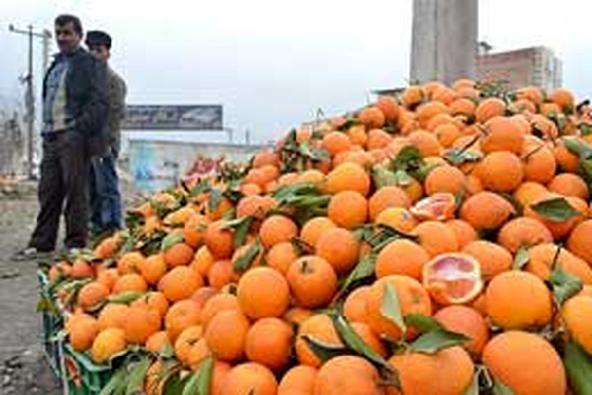 بهره‌برداران ما نمی‌توانند استفاده مطلوبی از محصولات باغی داشته باشند/ باغدارها با التماس بار خود را به فروش می‌رسانند