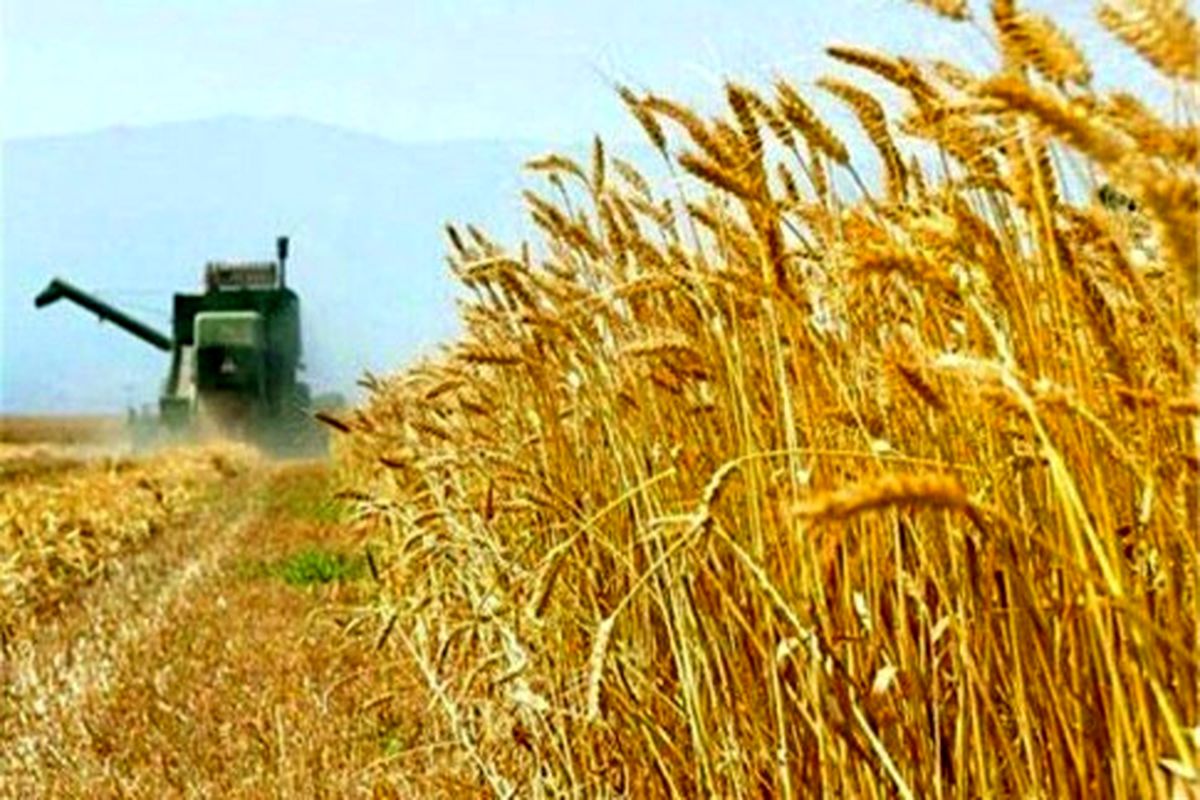 تولید ۳ میلیون تن محصولات زراعی در سیستان و بلوچستان