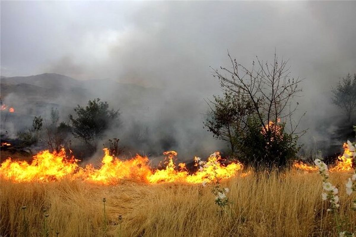 کشاورزان بعد از برداشت محصول اقدام به آتش زدن زمین‌های خود نکنند