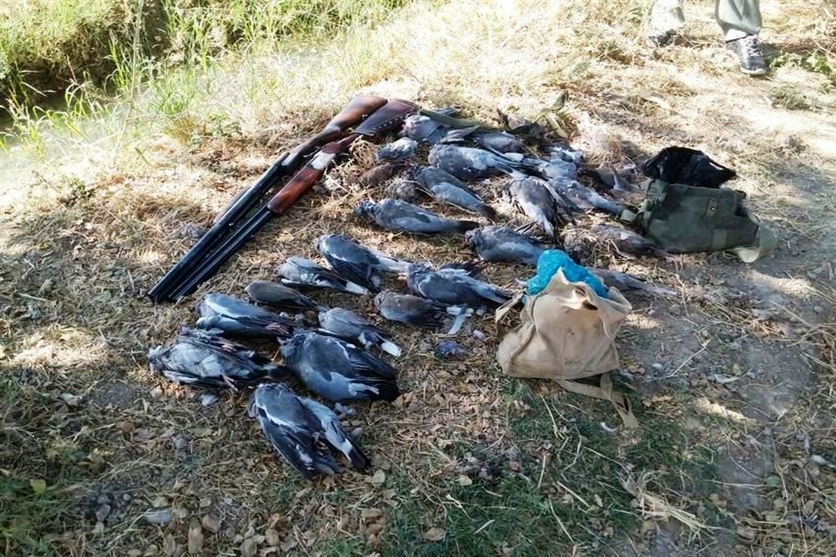 دستگیری ۱۵ شکارچی متخلف در کهگیلویه و بویراحمد