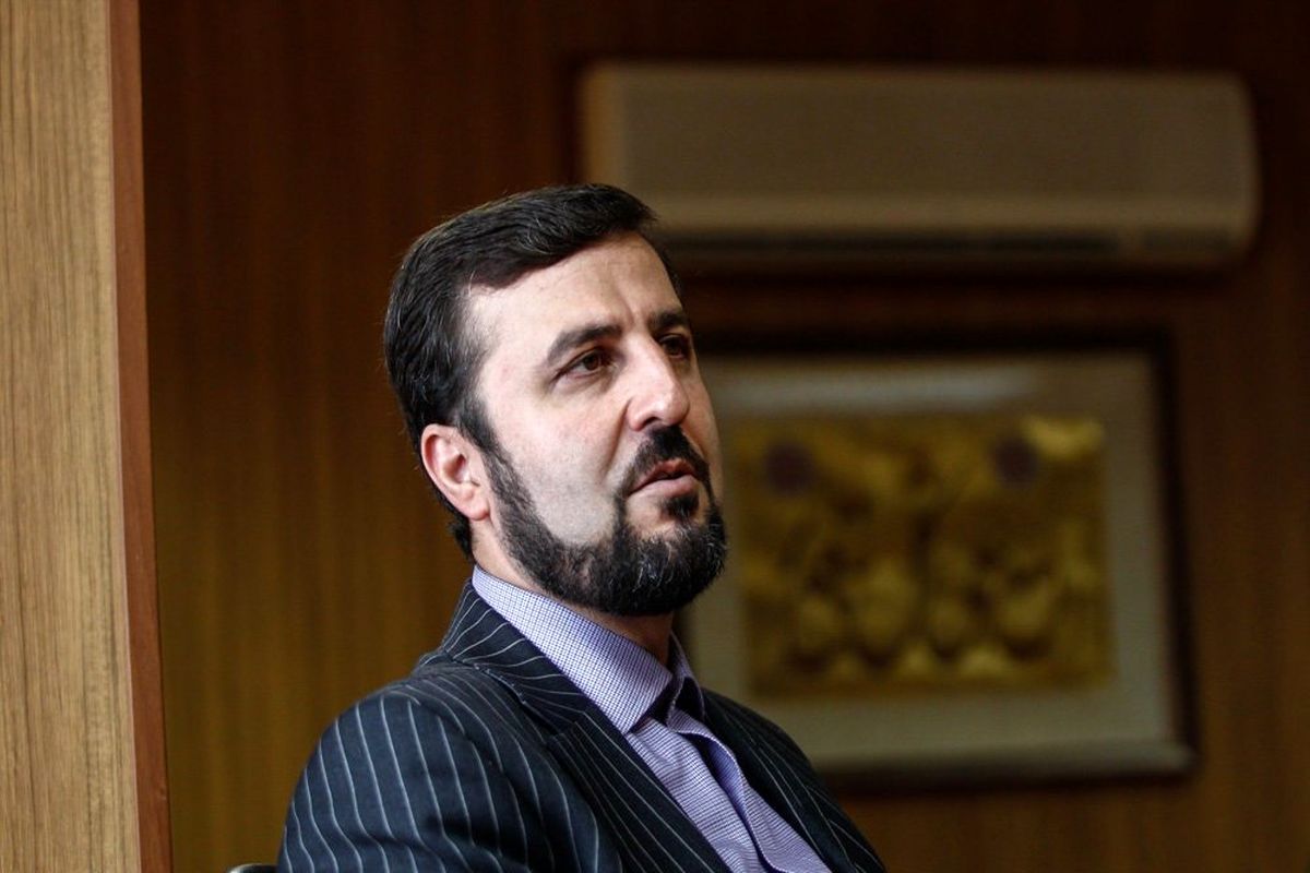 نماینده دائم ایران در وین، معاون رییس کنفرانس عمومی یونیدو شد