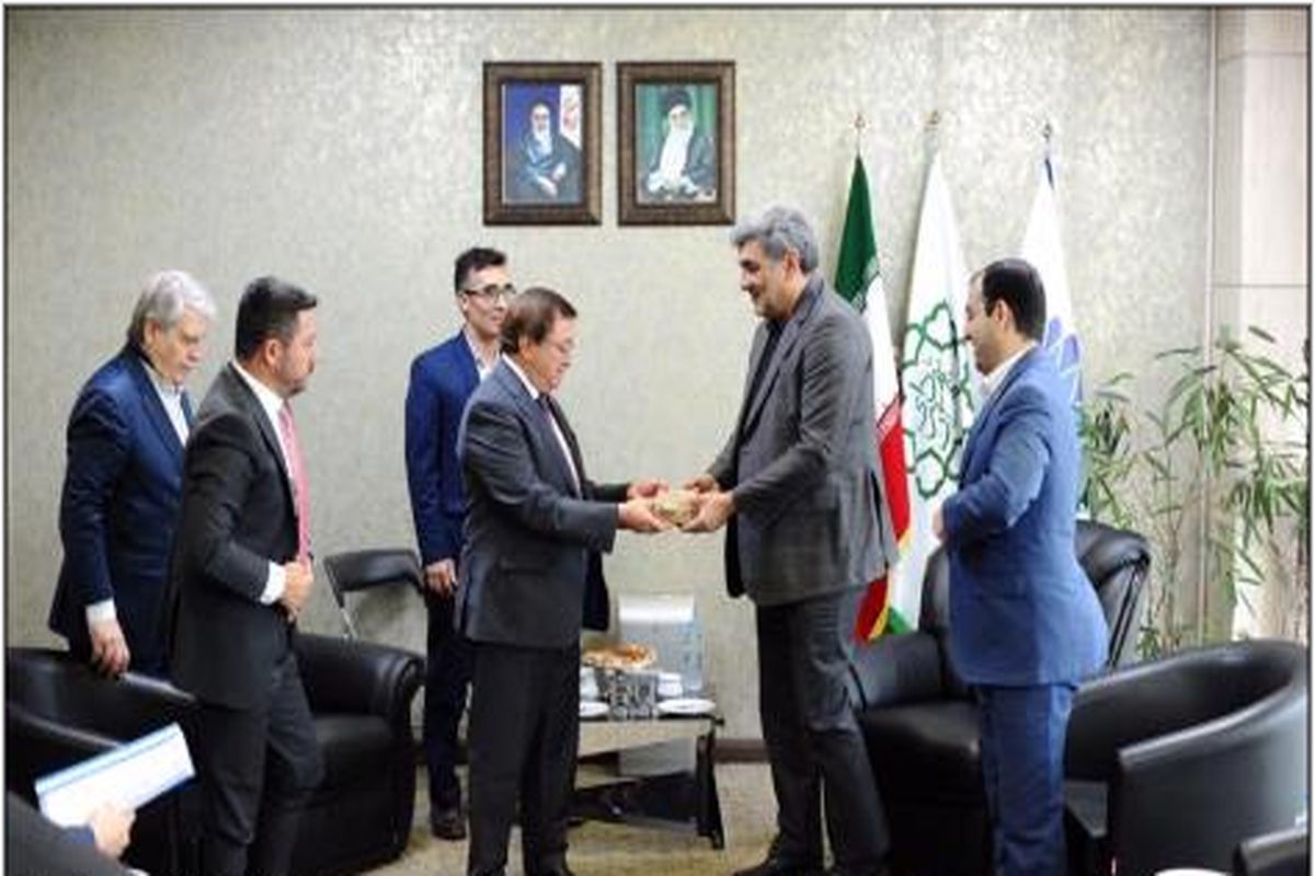 حناچی: آلودگی، ترافیک و پسماند معضل تمامی کلانشهرها