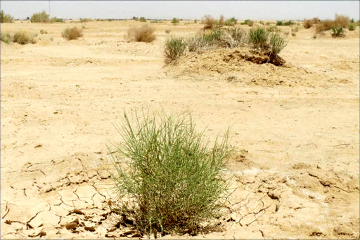 ایران رتبه اول فرسایش خاک در جهان