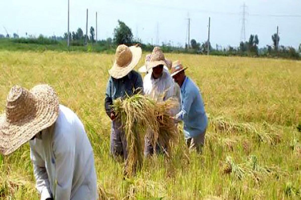 بیش از ۱۳ هزار میلیارد ریال غرامت سیل به کشاورزان پرداخت شد