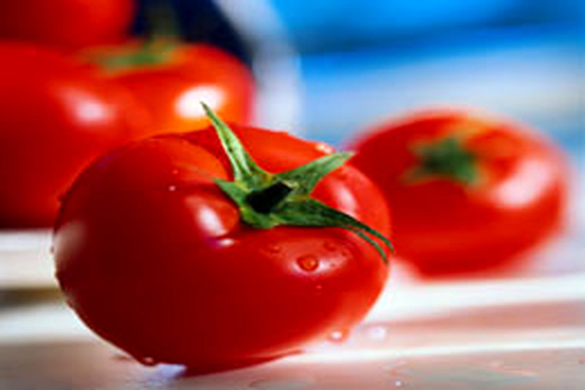 مصرف گوجه مانع از بروز سرطان پروستات می‌شود
