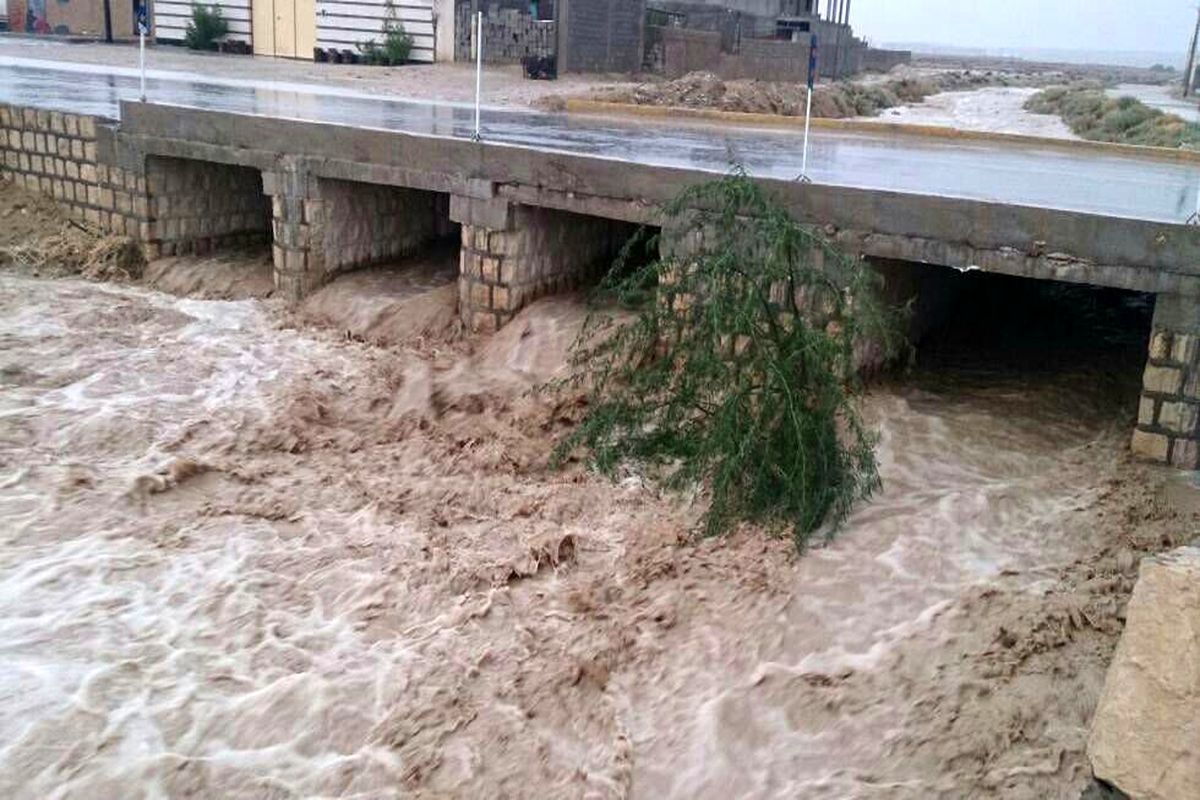 خسارت زدن باران به تاسیسات زیربنایی و مبلمان شهری استان بوشهر