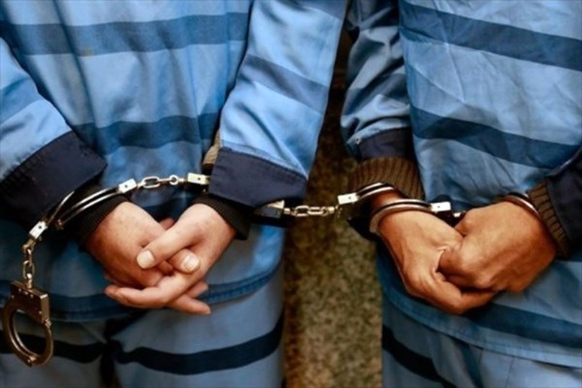 دستگیری سارق حرفه‌ای کابل برق با ۷ فقره سرقت
