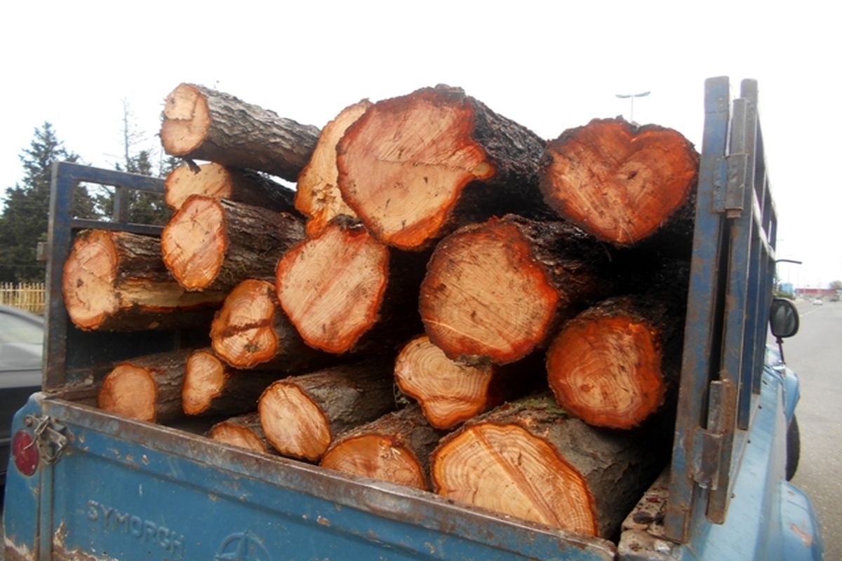 کشف ۳ تن چوب قاچاق در رودسر